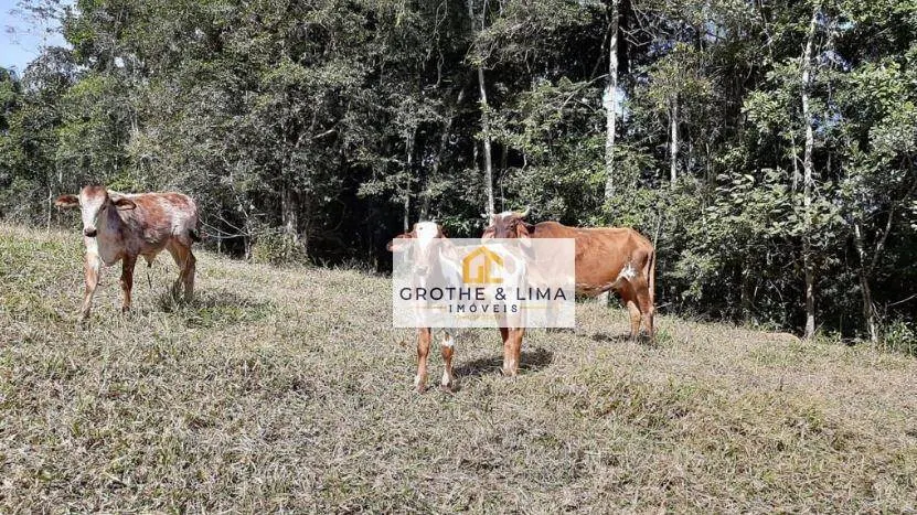 Small farm for sale of 90 acres in Natividade da Serra, SP, Brazil
