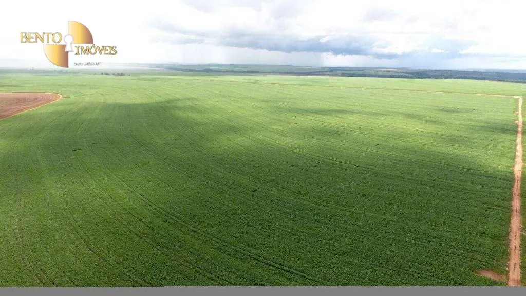 Fazenda à venda de 4.050 ha em General Carneiro, MT, Brasil