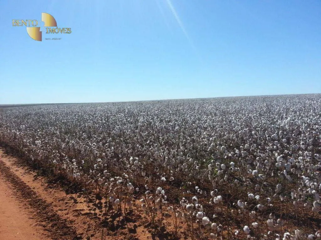 Fazenda à venda de 4.050 ha em General Carneiro, MT, Brasil