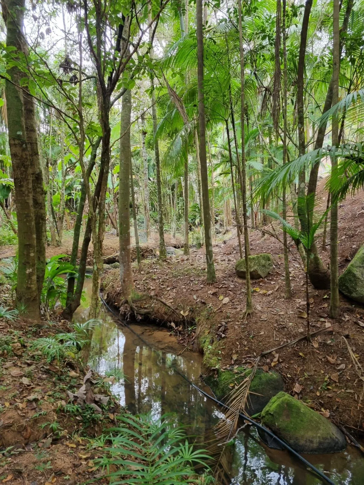 Farm for sale of 1 acres in Nova Trento, SC, Brazil