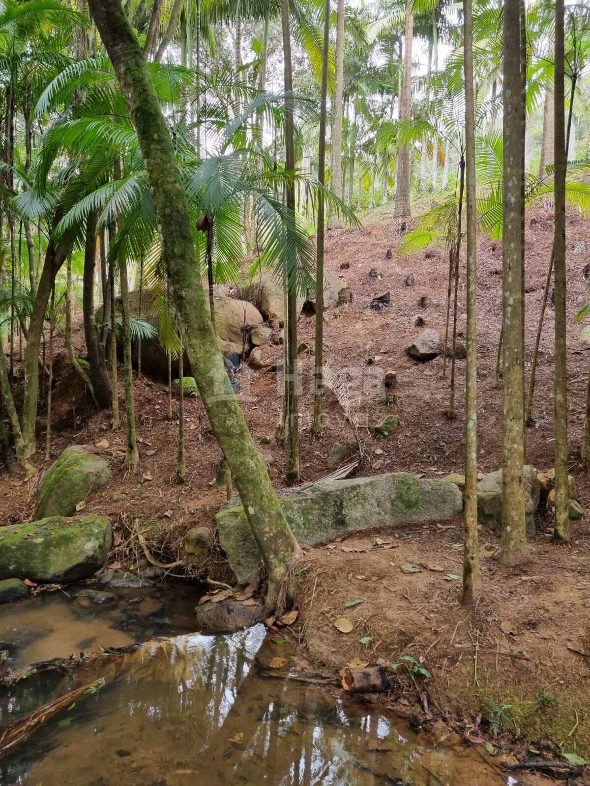 Farm for sale of 1 acres in Nova Trento, SC, Brazil