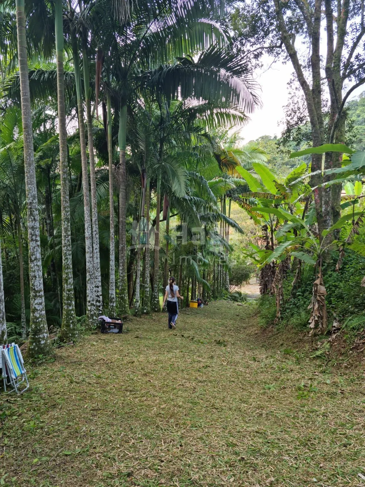 Farm for sale of 1 acres in Nova Trento, SC, Brazil