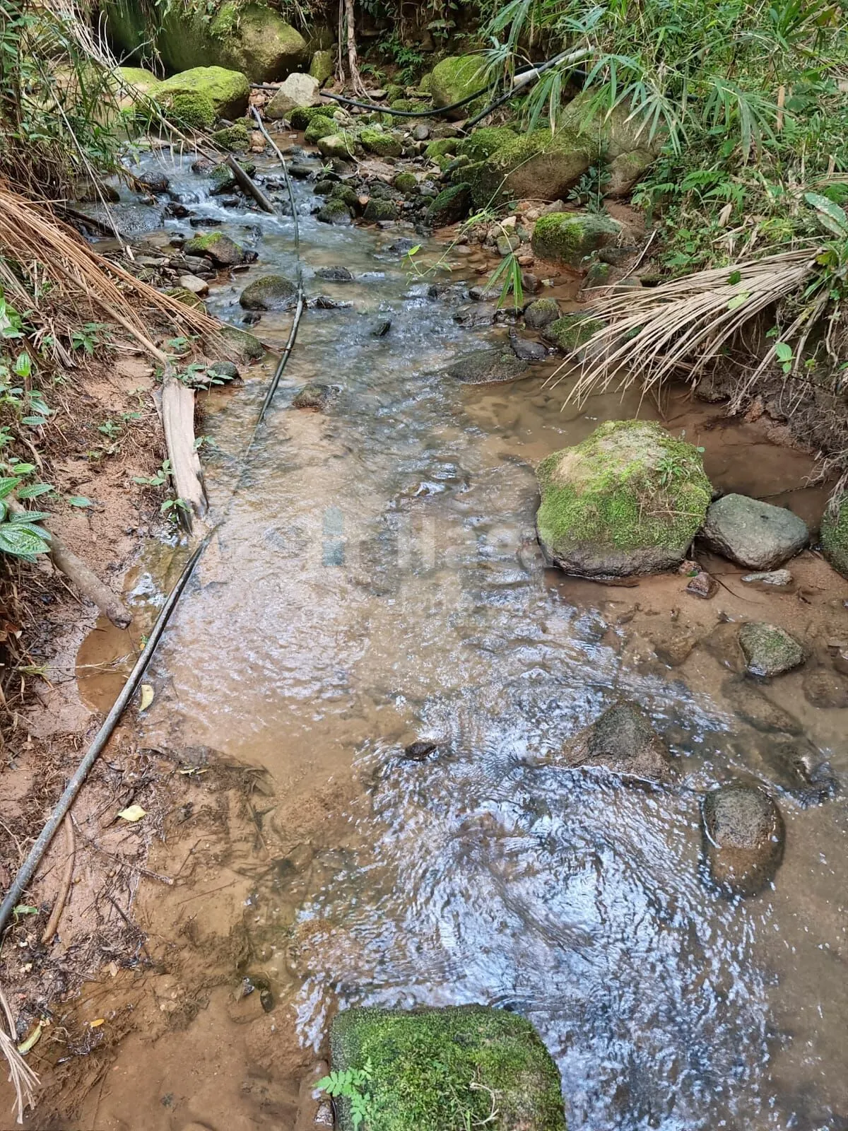 Farm for sale of 1 acres in Nova Trento, SC, Brazil