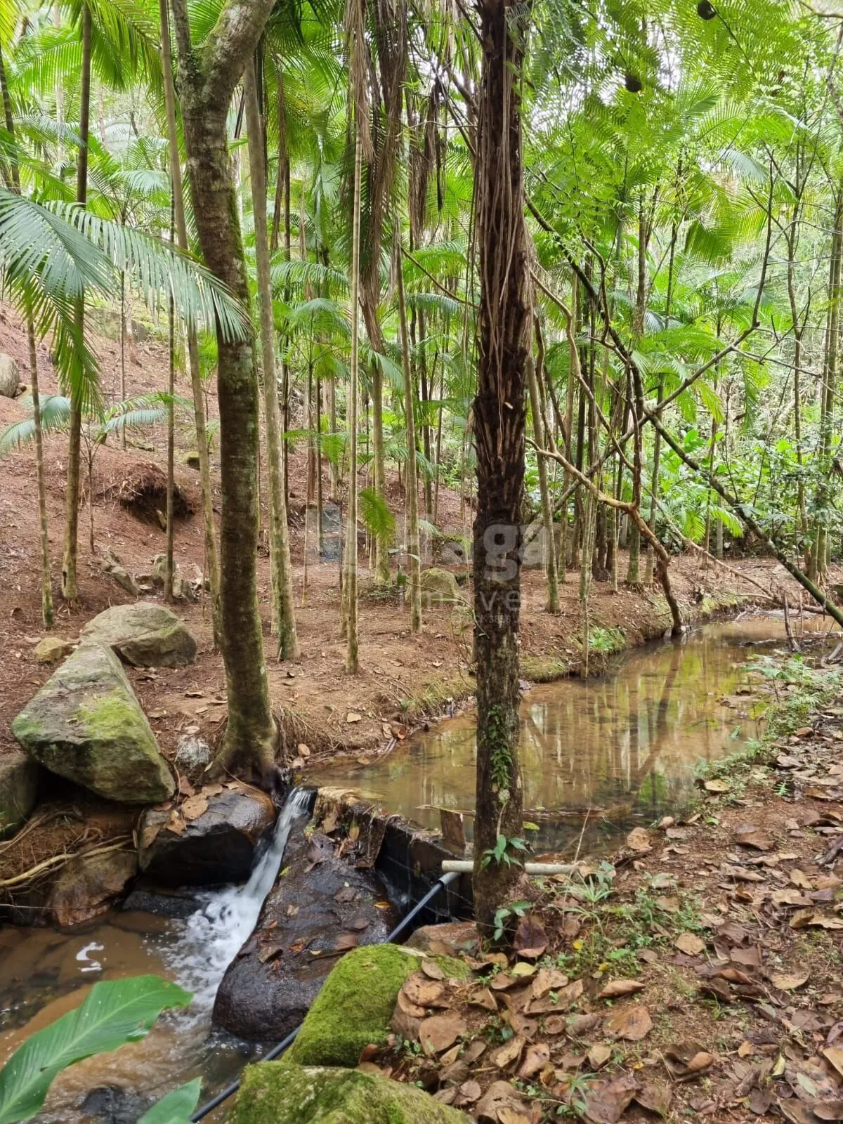 Farm for sale of 1 acres in Nova Trento, SC, Brazil