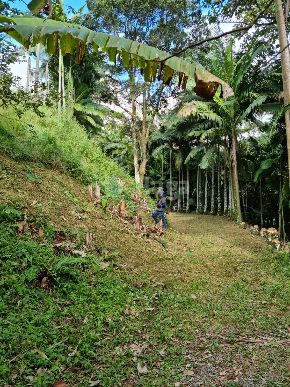 Farm for sale of 1 acres in Nova Trento, SC, Brazil