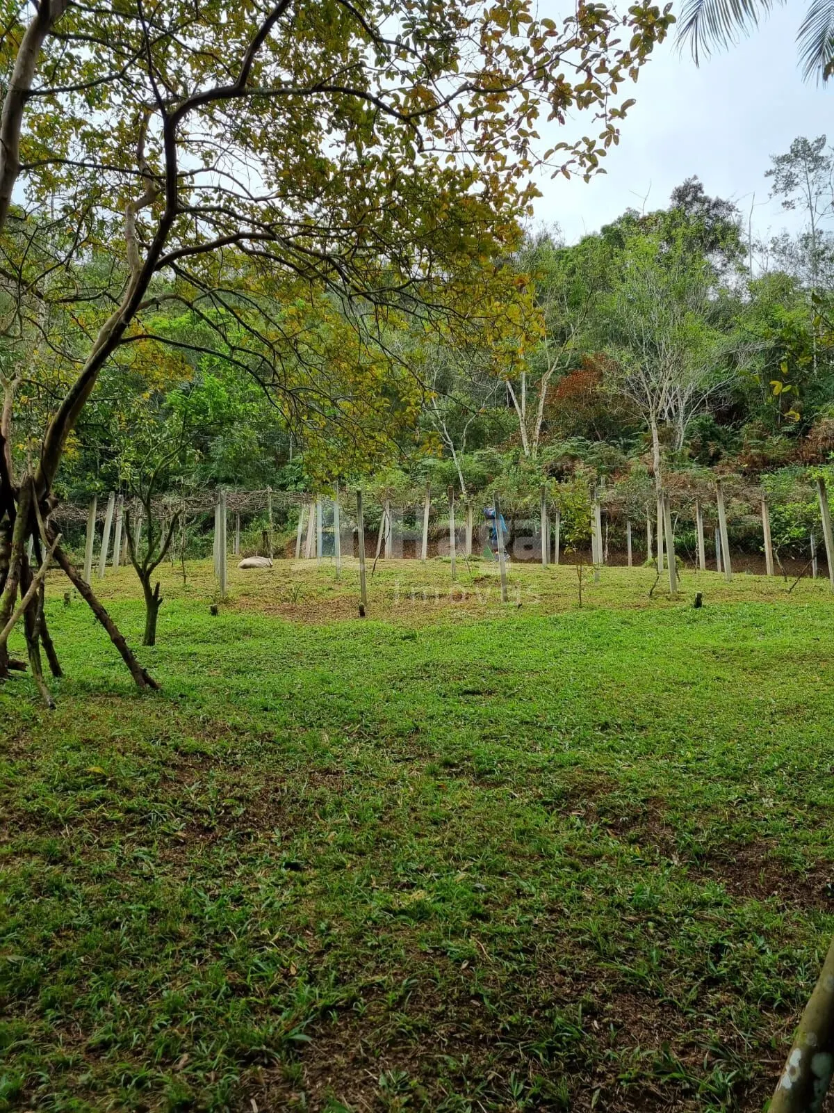 Farm for sale of 1 acres in Nova Trento, SC, Brazil
