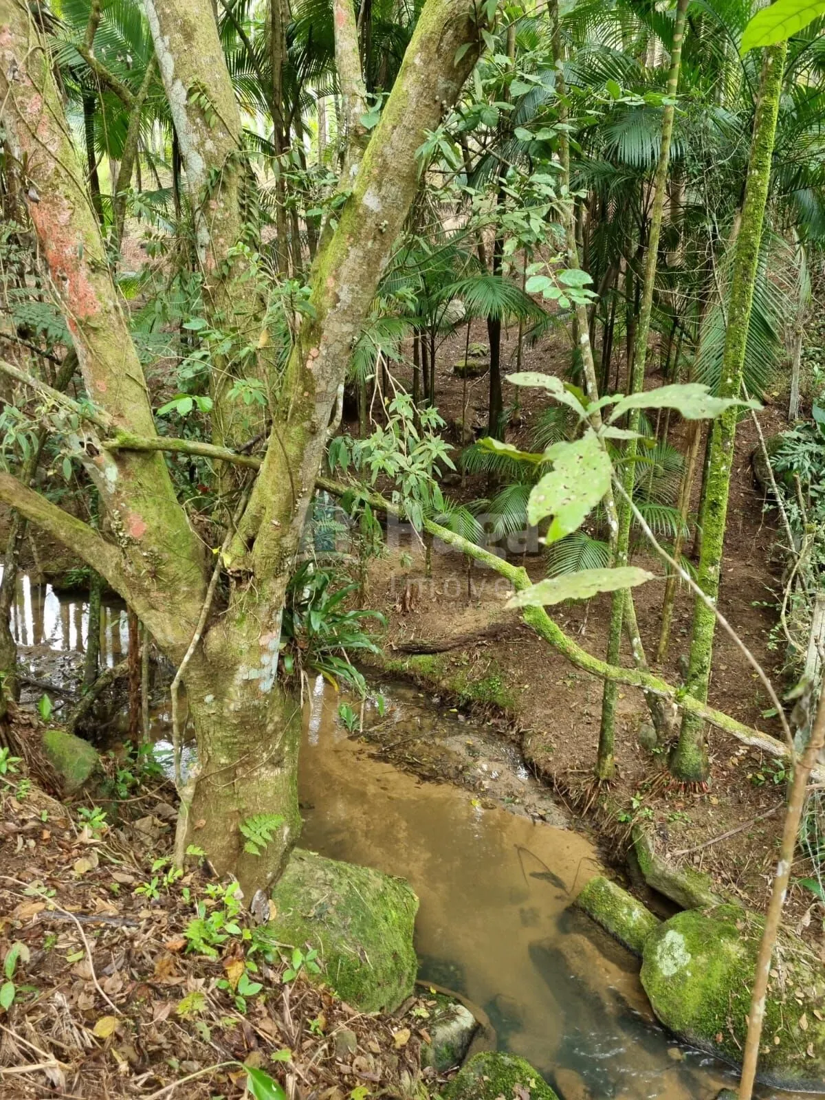 Farm for sale of 1 acres in Nova Trento, SC, Brazil