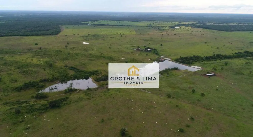 Fazenda à venda de 1.338 ha em Dueré, TO, Brasil