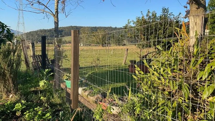 Country home for sale of 3,900 m² in Rolante, RS, Brazil