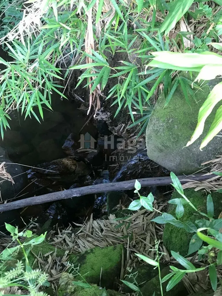 Fazenda à venda de 6 ha em Guabiruba, SC, Brasil
