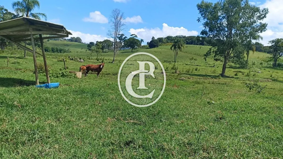 Fazenda à venda de 82 ha em Paraibuna, SP, Brasil