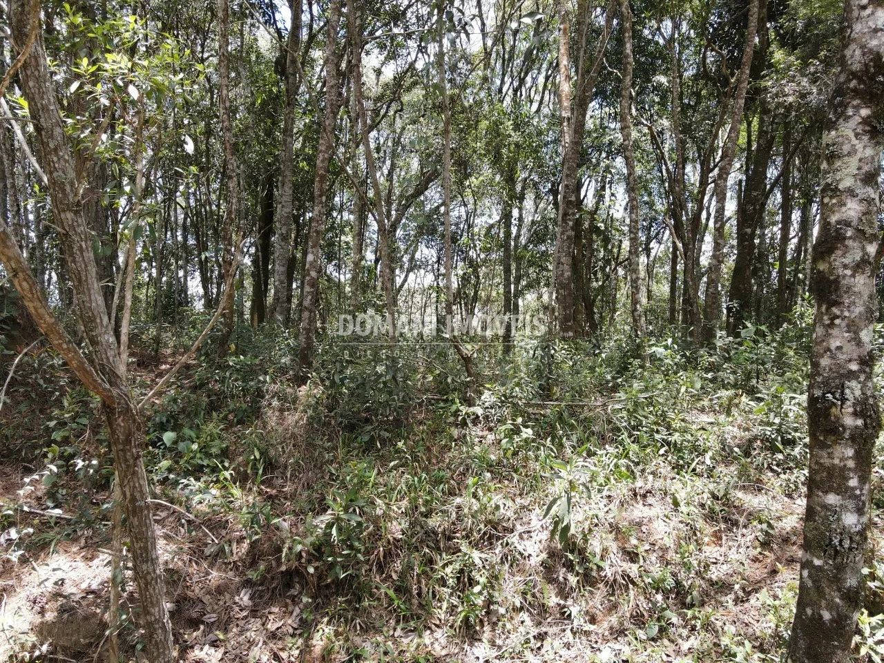 Terreno à venda de 1.350 m² em Campos do Jordão, SP, Brasil