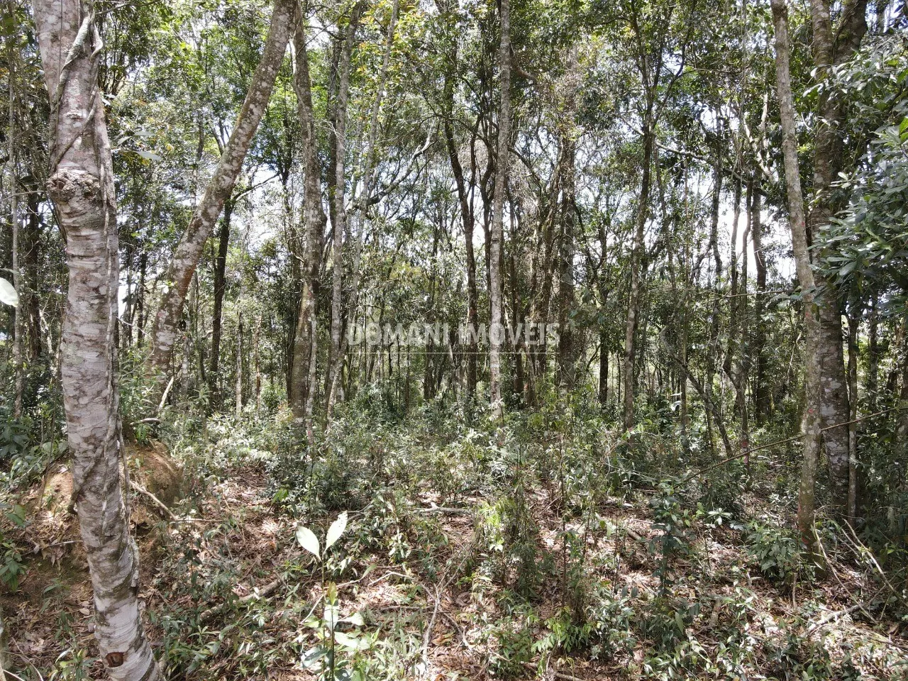 Terreno à venda de 1.350 m² em Campos do Jordão, SP, Brasil