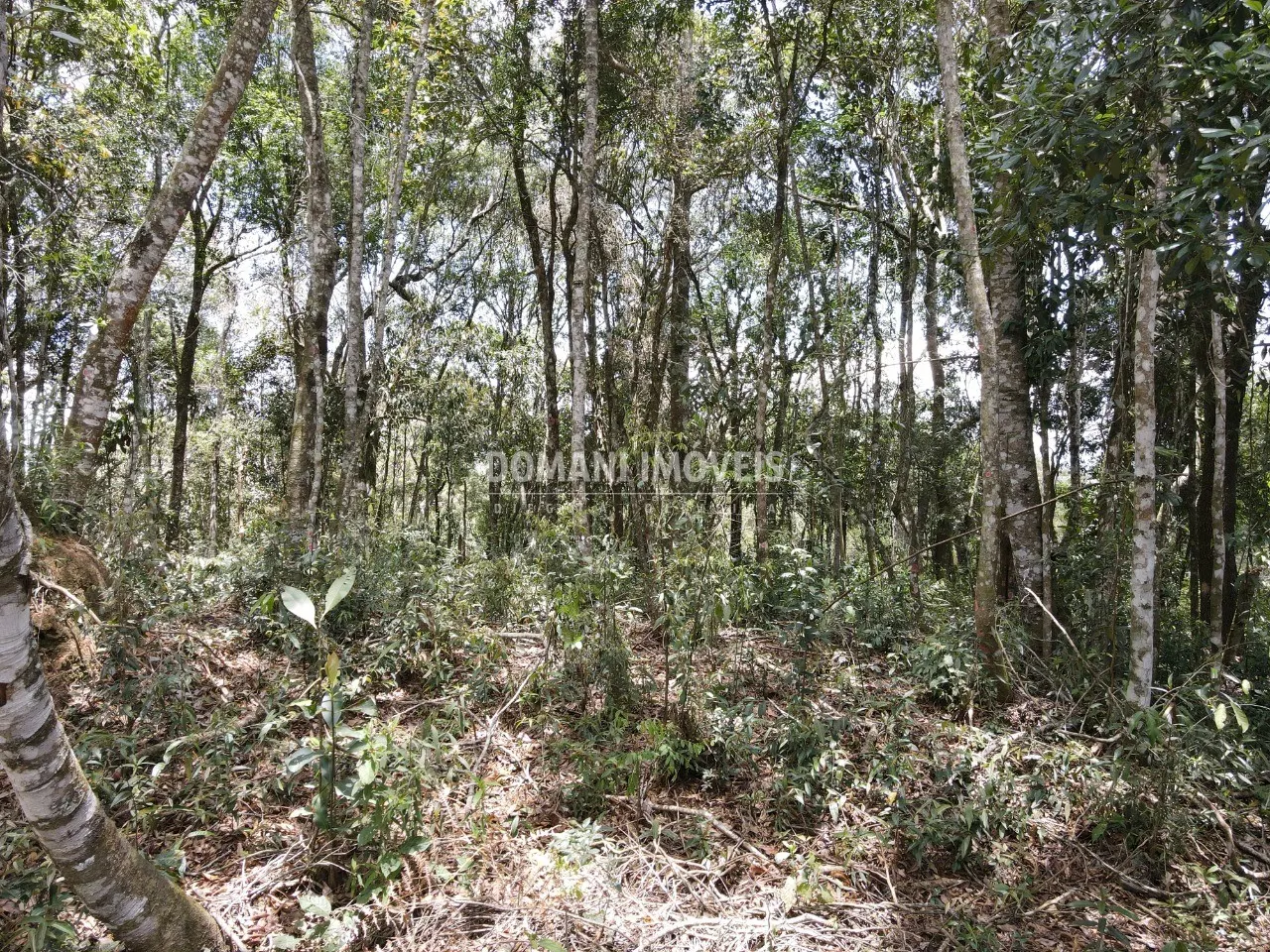 Terreno à venda de 1.350 m² em Campos do Jordão, SP, Brasil