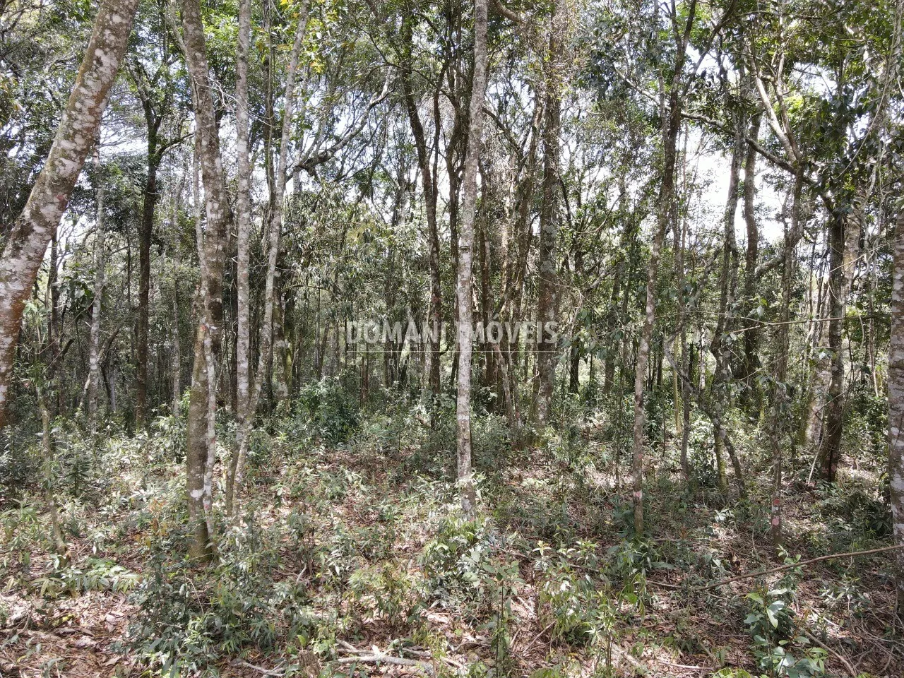 Terreno à venda de 1.350 m² em Campos do Jordão, SP, Brasil