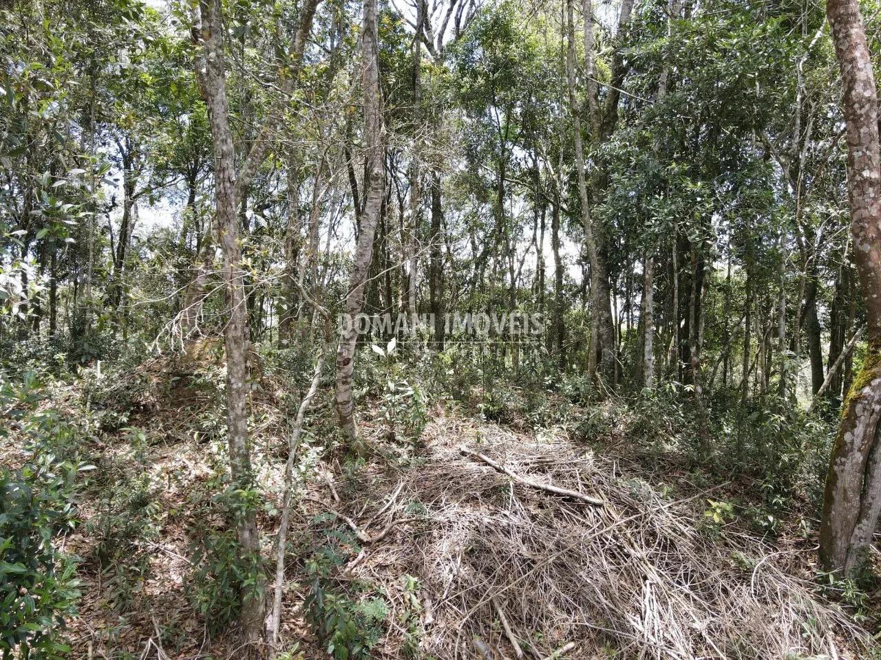 Terreno à venda de 1.350 m² em Campos do Jordão, SP, Brasil