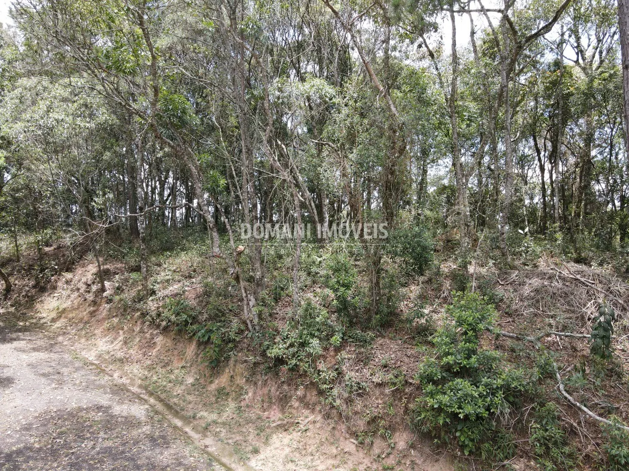 Terreno à venda de 1.350 m² em Campos do Jordão, SP, Brasil