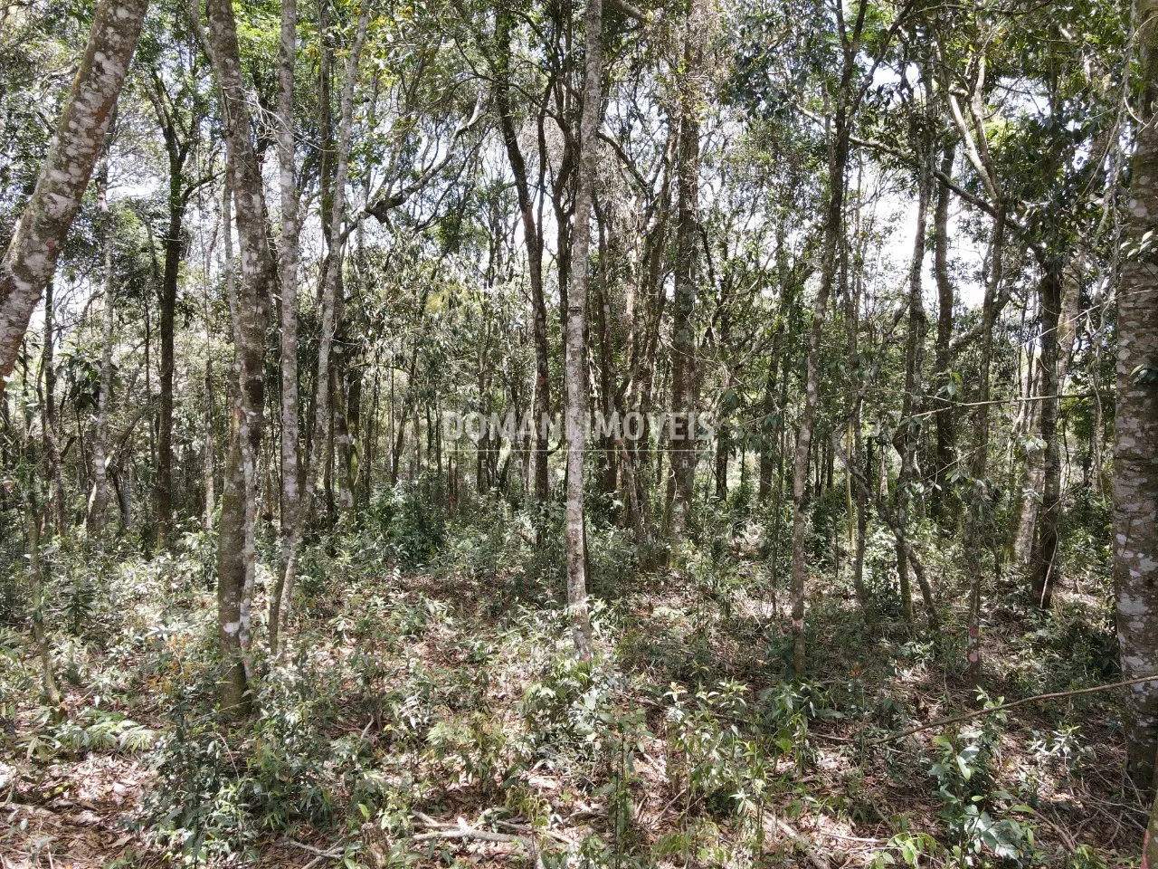 Terreno à venda de 1.350 m² em Campos do Jordão, SP, Brasil