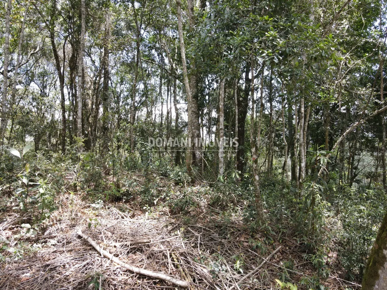 Terreno à venda de 1.350 m² em Campos do Jordão, SP, Brasil