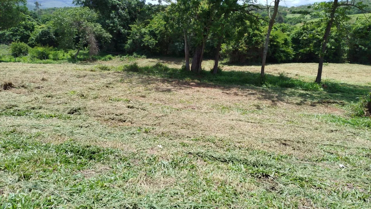 Sítio à venda de 63 ha em Delfinópolis, MG, Brasil