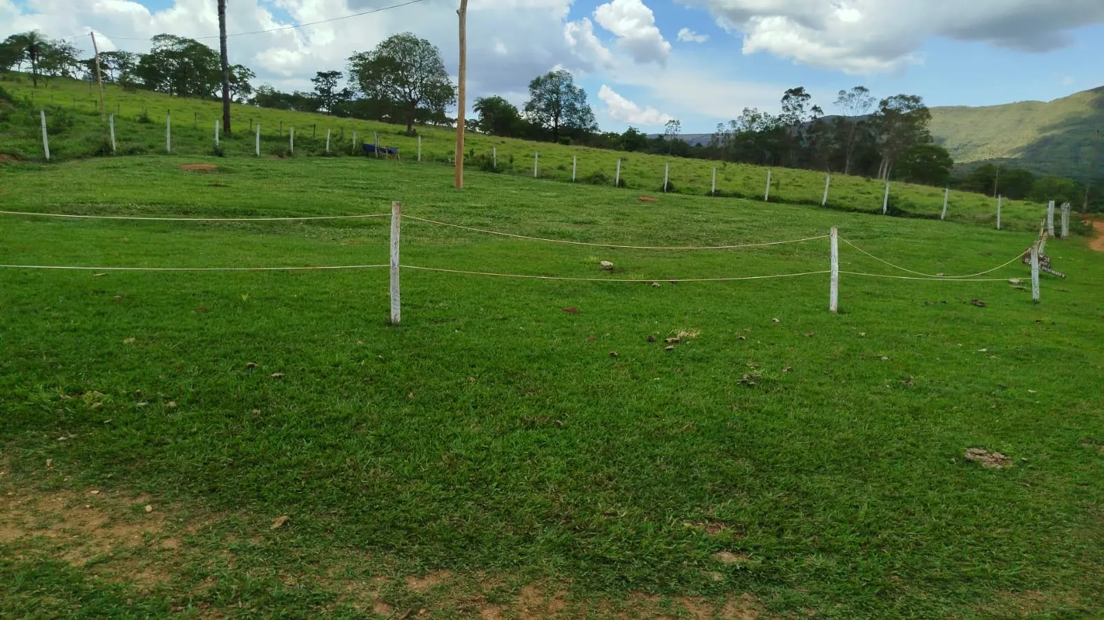 Sítio à venda de 63 ha em Delfinópolis, MG, Brasil