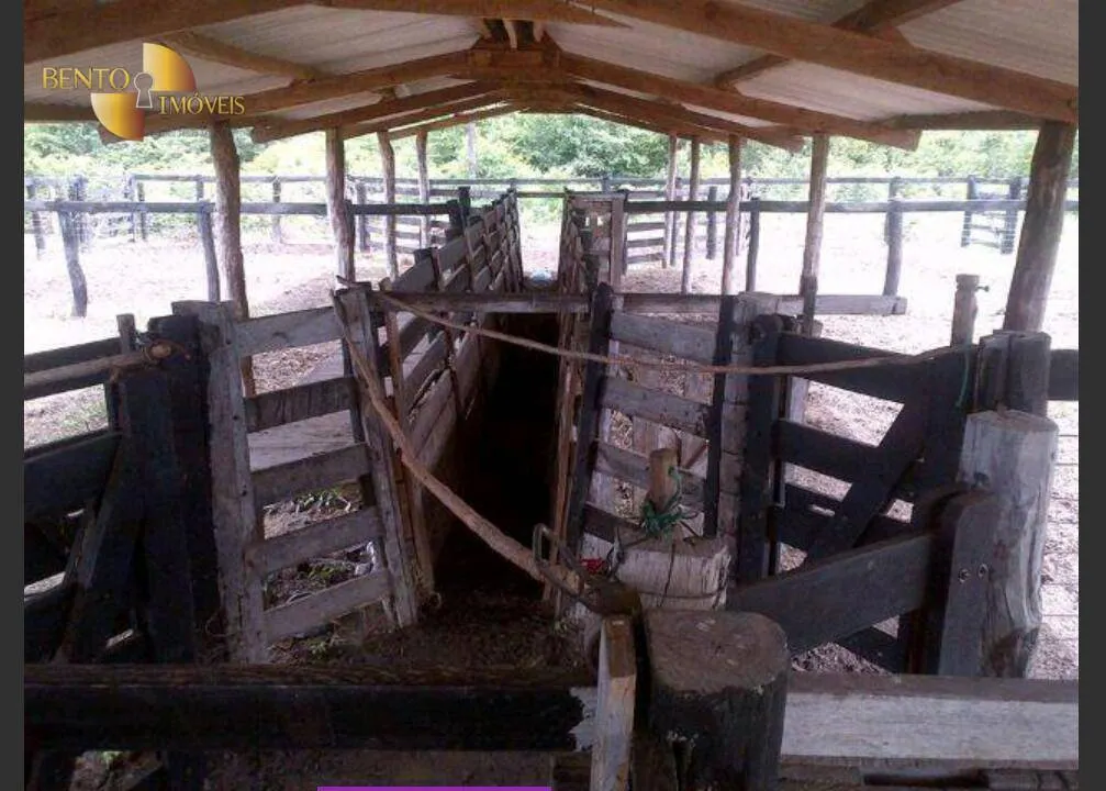 Farm for sale of 1,668 acres in Poconé, MT, Brazil