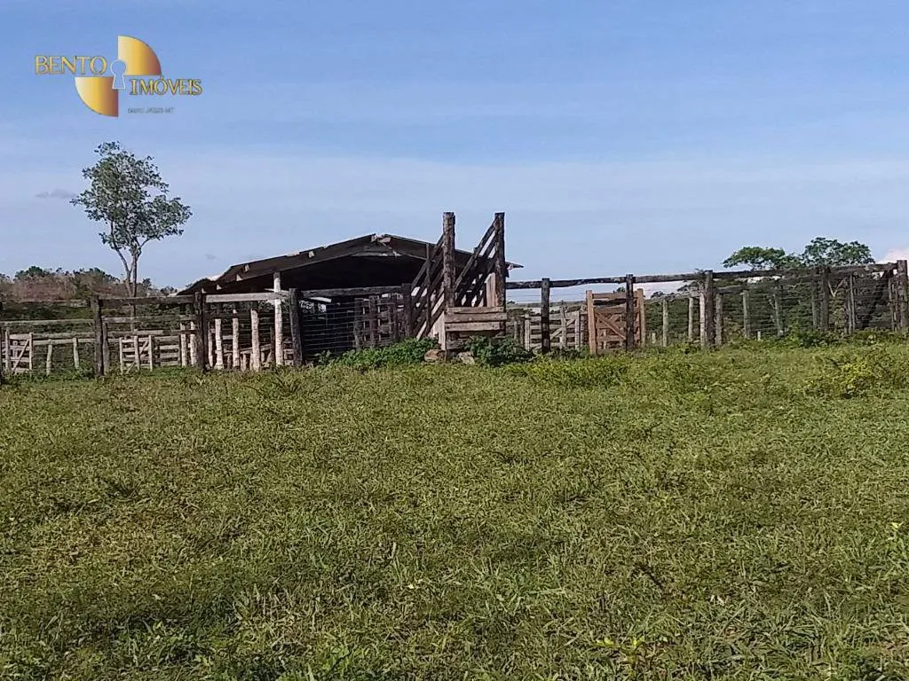 Farm for sale of 1,668 acres in Poconé, MT, Brazil