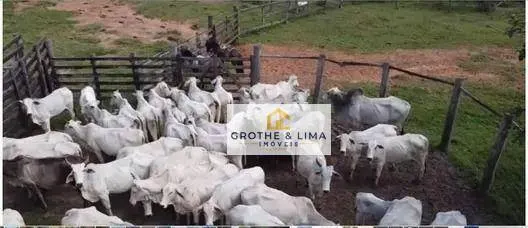 Fazenda à venda de 174 ha em Igaratá, SP, Brasil