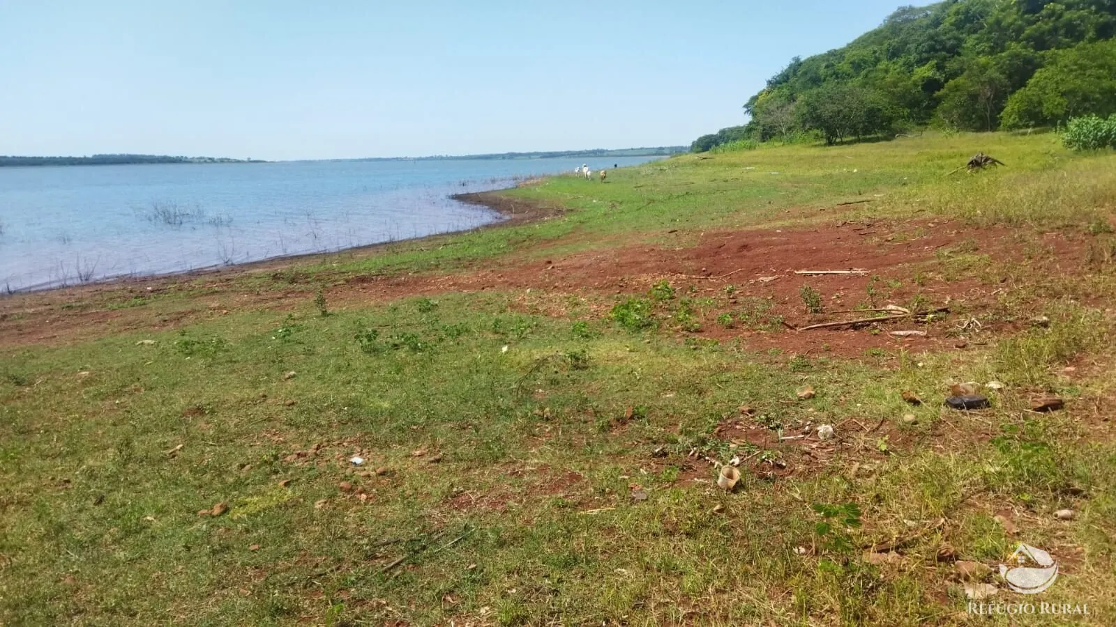 Small farm for sale of 101 acres in Frutal, MG, Brazil