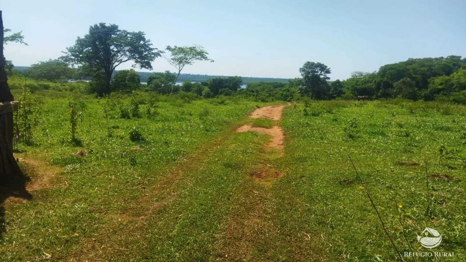 Small farm for sale of 101 acres in Frutal, MG, Brazil