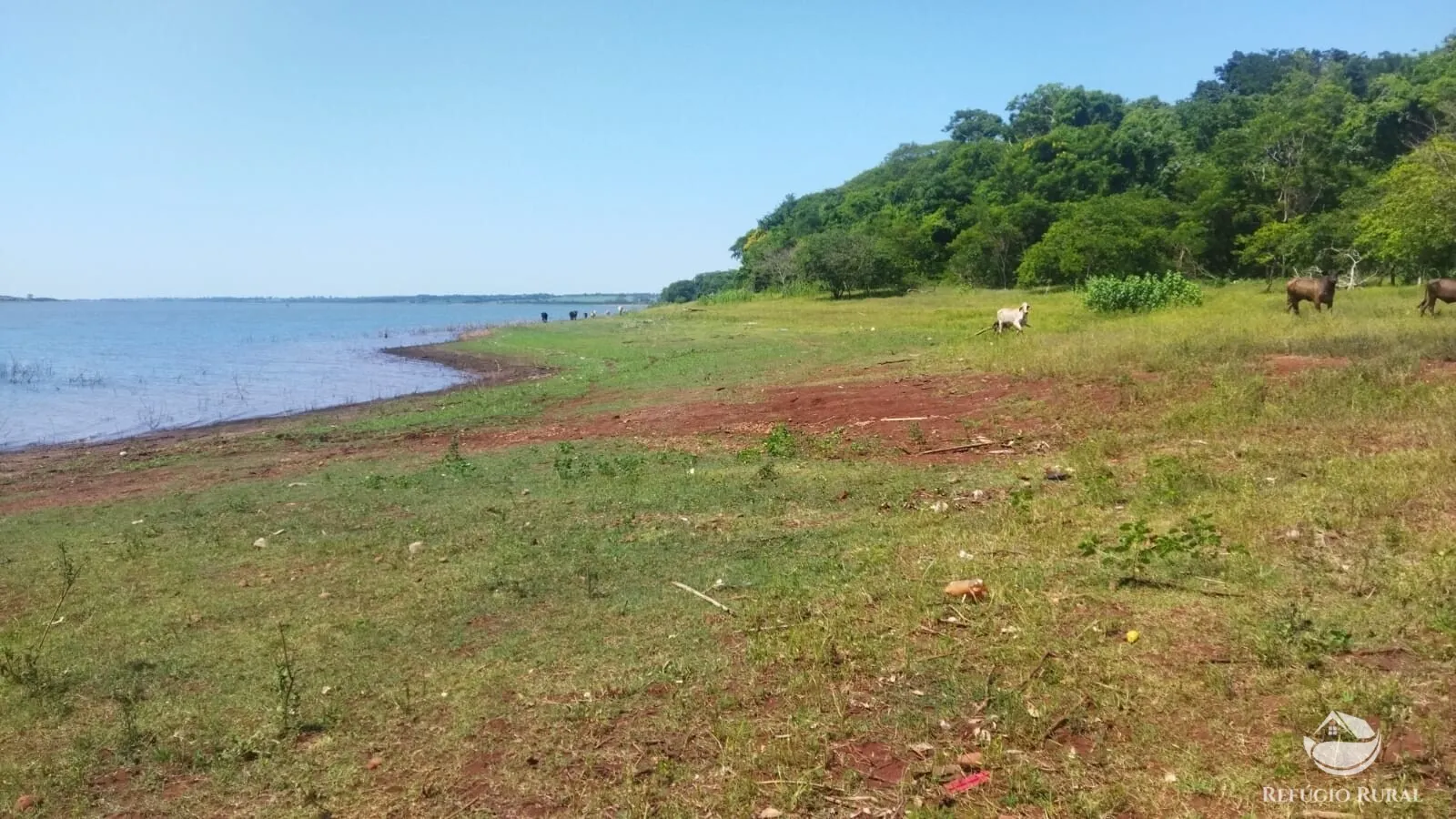 Small farm for sale of 101 acres in Frutal, MG, Brazil