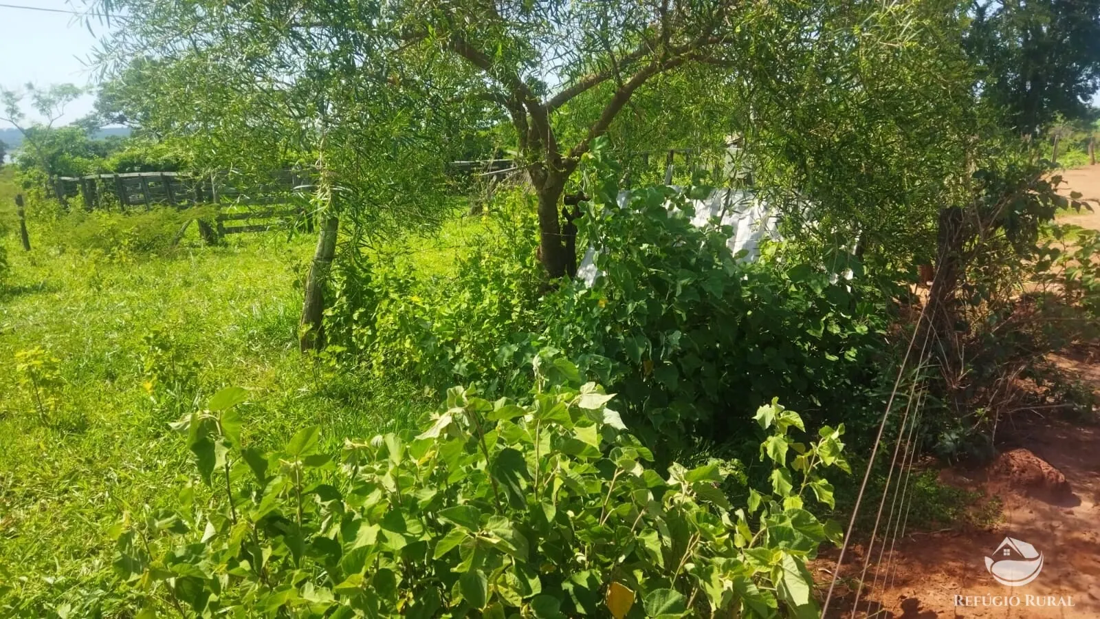 Small farm for sale of 101 acres in Frutal, MG, Brazil