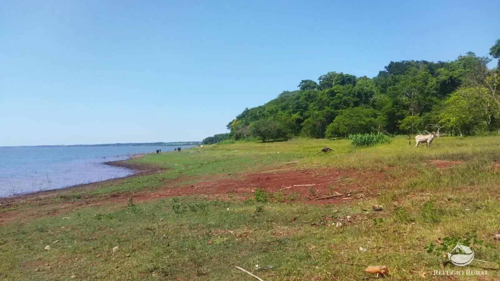 Small farm for sale of 101 acres in Frutal, MG, Brazil