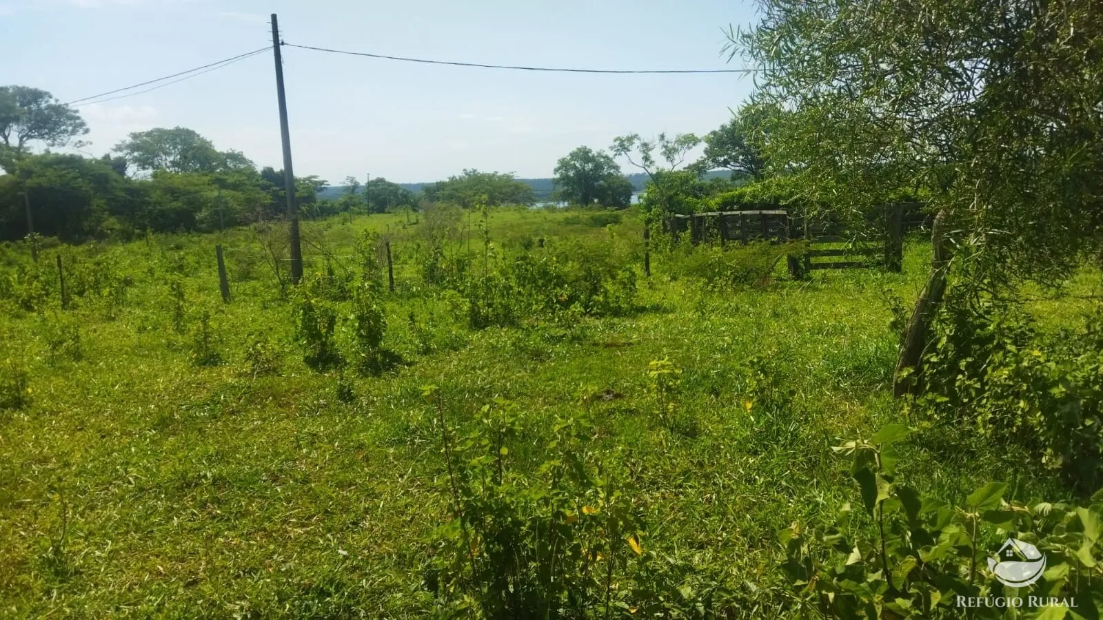 Small farm for sale of 101 acres in Frutal, MG, Brazil