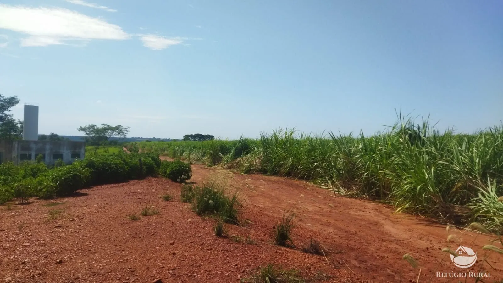 Small farm for sale of 101 acres in Frutal, MG, Brazil