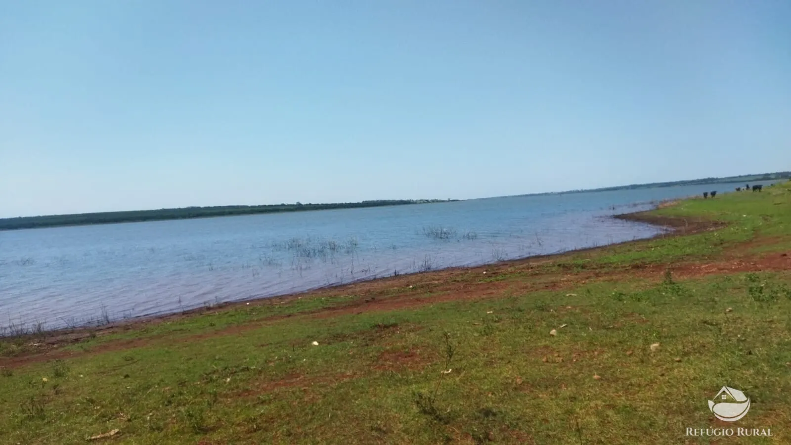 Small farm for sale of 101 acres in Frutal, MG, Brazil