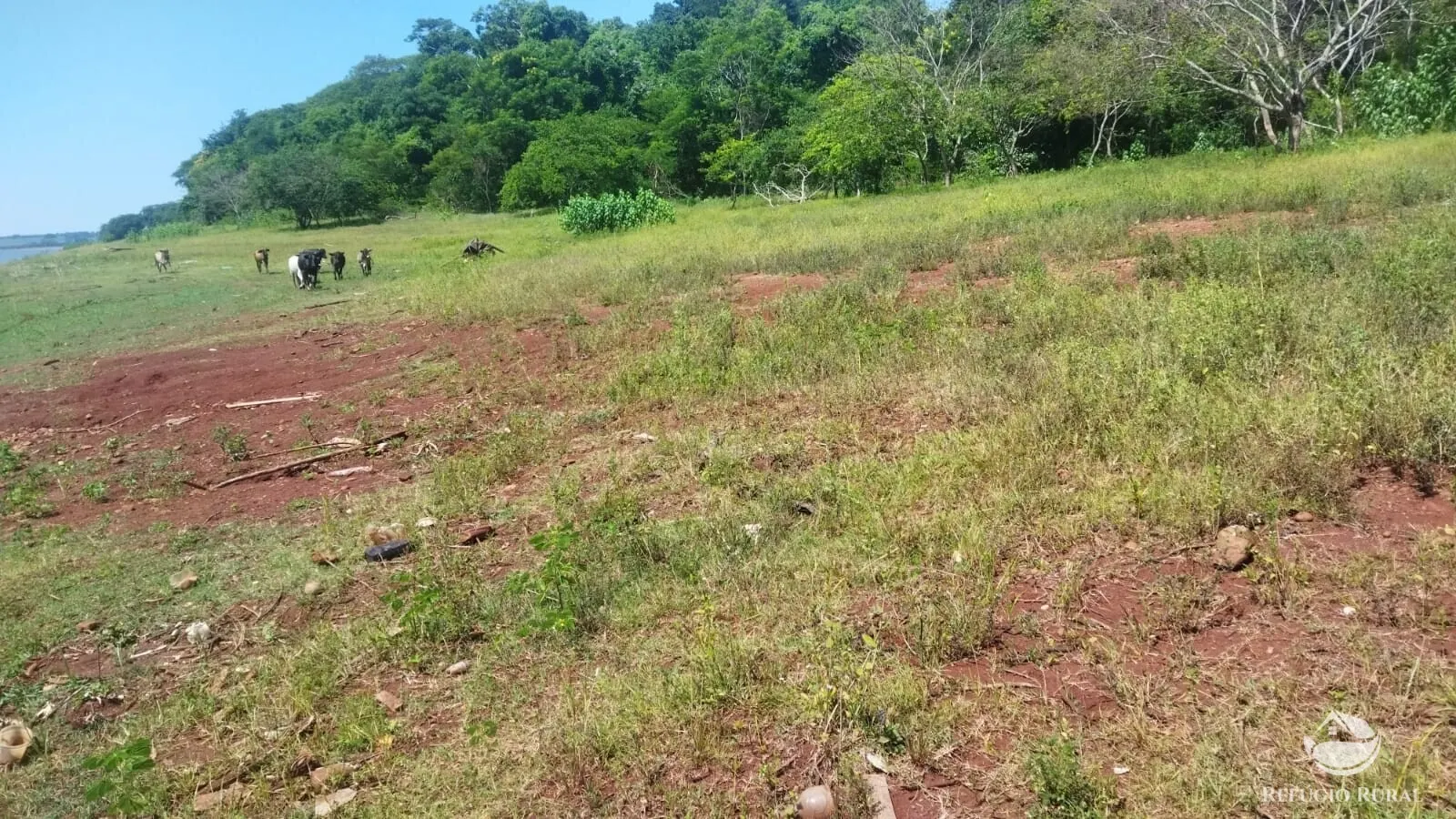 Small farm for sale of 101 acres in Frutal, MG, Brazil