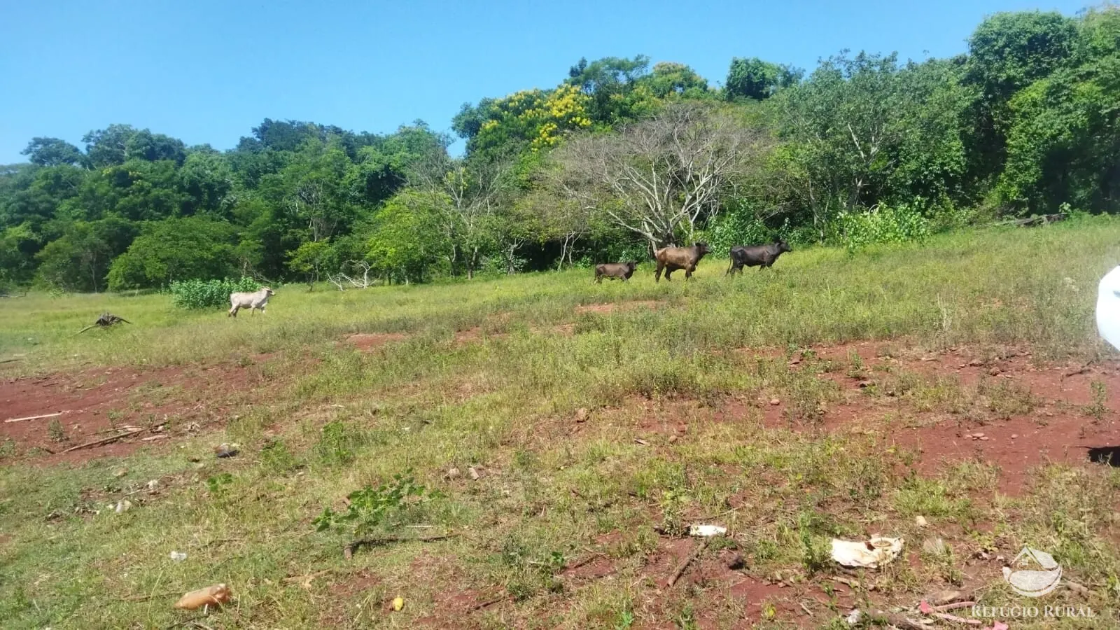 Small farm for sale of 101 acres in Frutal, MG, Brazil