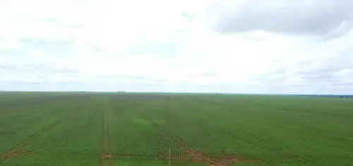 Fazenda à venda de 2.328 ha em Diamantino, MT, Brasil