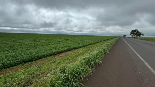 Fazenda à venda de 2.328 ha em Diamantino, MT, Brasil