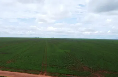 Fazenda à venda de 2.328 ha em Diamantino, MT, Brasil
