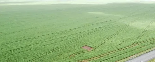Fazenda à venda de 2.328 ha em Diamantino, MT, Brasil