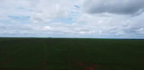 Fazenda à venda de 2.328 ha em Diamantino, MT, Brasil