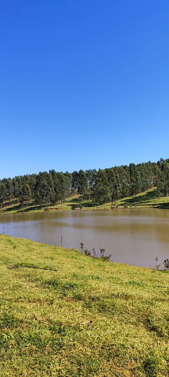 Fazenda à venda de 289 ha em Botucatu, SP, Brasil