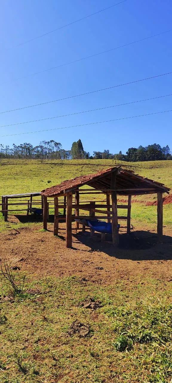 Fazenda à venda de 289 ha em Botucatu, SP, Brasil