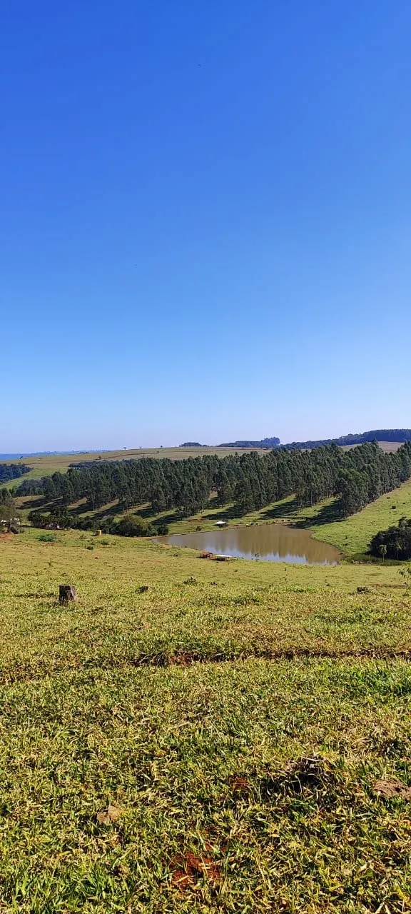 Fazenda à venda de 289 ha em Botucatu, SP, Brasil