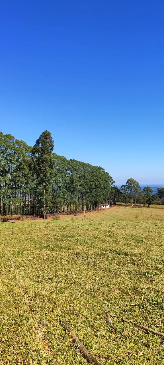 Fazenda à venda de 289 ha em Botucatu, SP, Brasil
