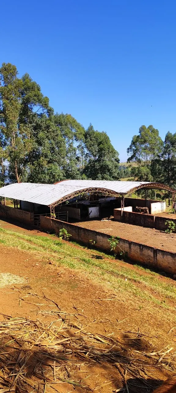 Fazenda à venda de 289 ha em Botucatu, SP, Brasil