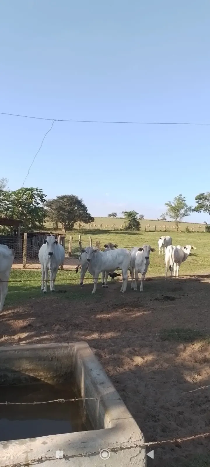 Sítio à venda de 5 ha em Tatuí, SP, Brasil
