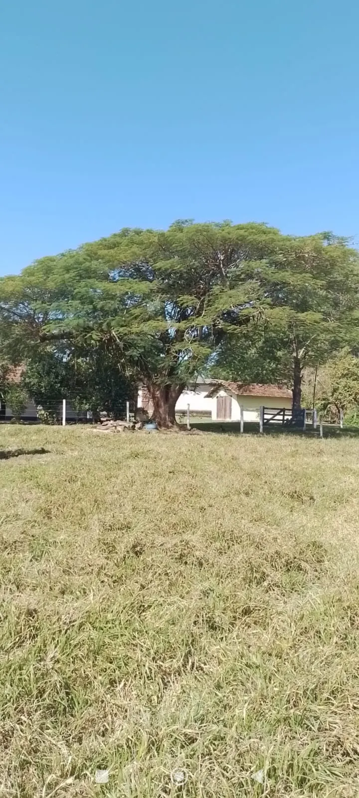 Sítio à venda de 5 ha em Tatuí, SP, Brasil